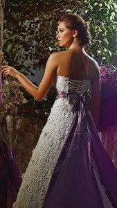 STRAPLESS - BRA NECKLINE - COLORED BELTED - A LINE SKIRT